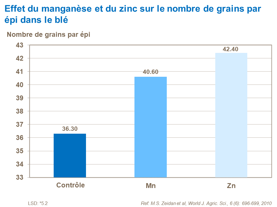 FR - effect of Mn and Zn on number of grains per ear.png