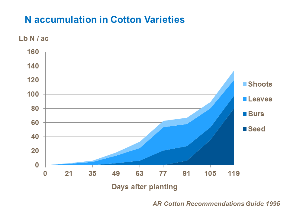 nitrogen accumulation in cotton varieties