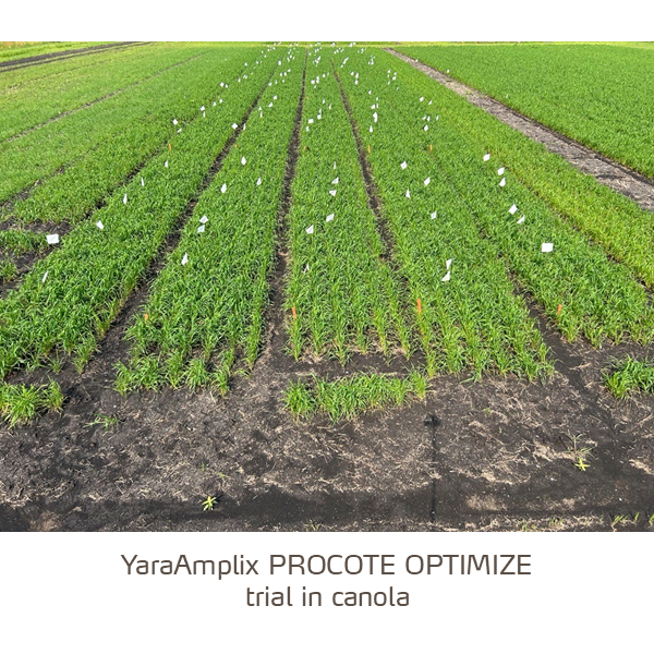 procote optimize trial in canola