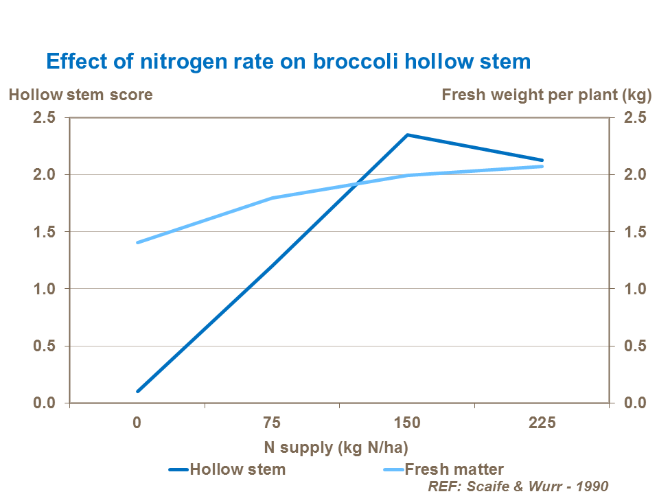 Effect of nitrogen rate on broccoli hollow stem
