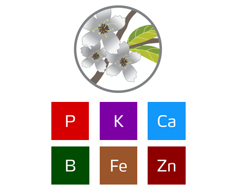 role of nutrients by almond growth stage
