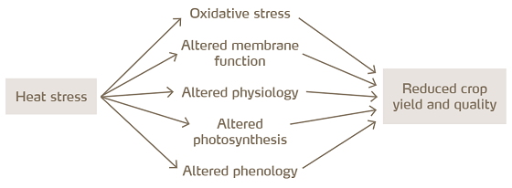 heat stress diagram