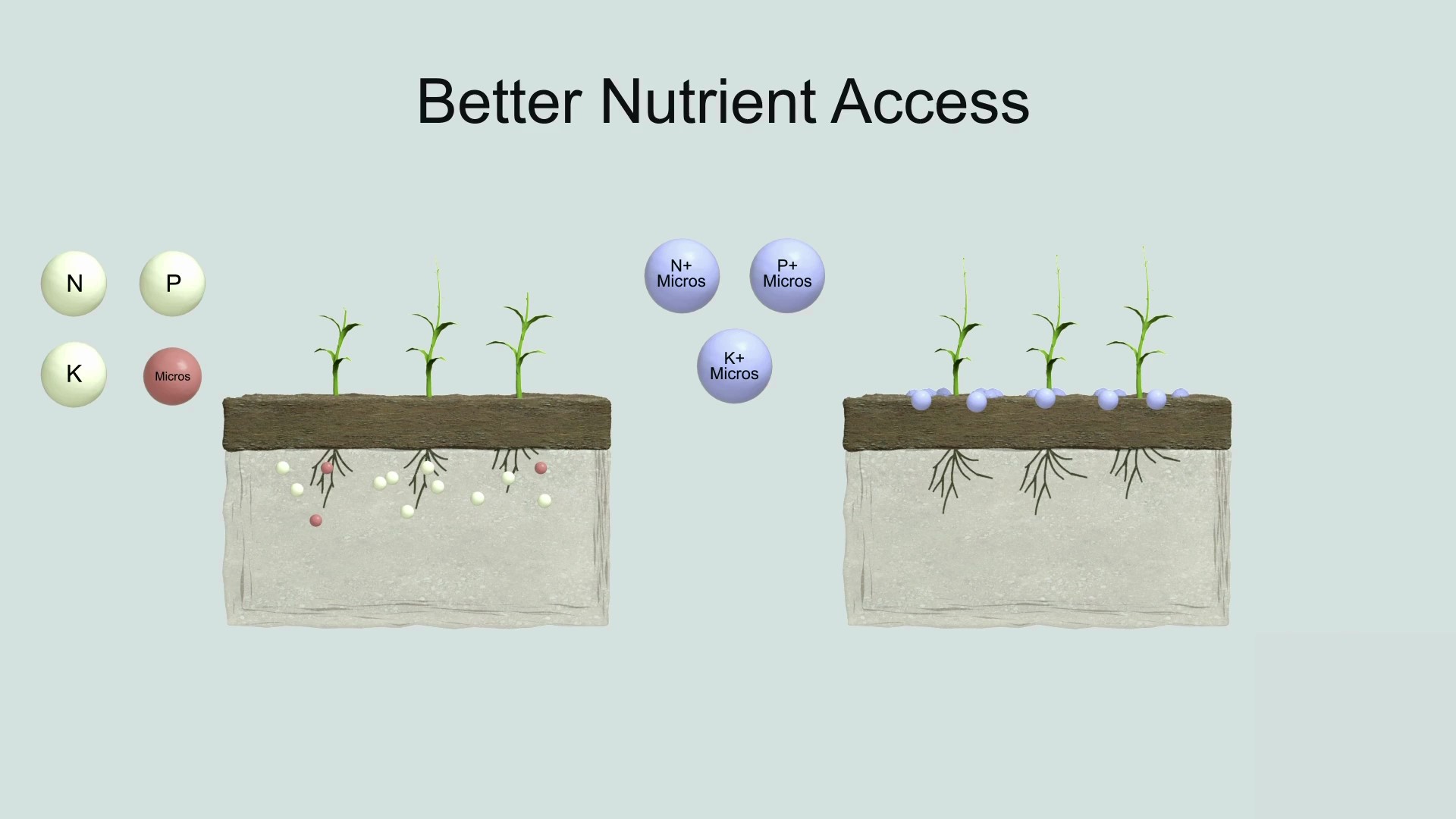 procote better nutrient access video