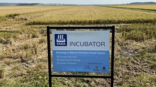 Incubator AR Delta field sign partial.jpg
