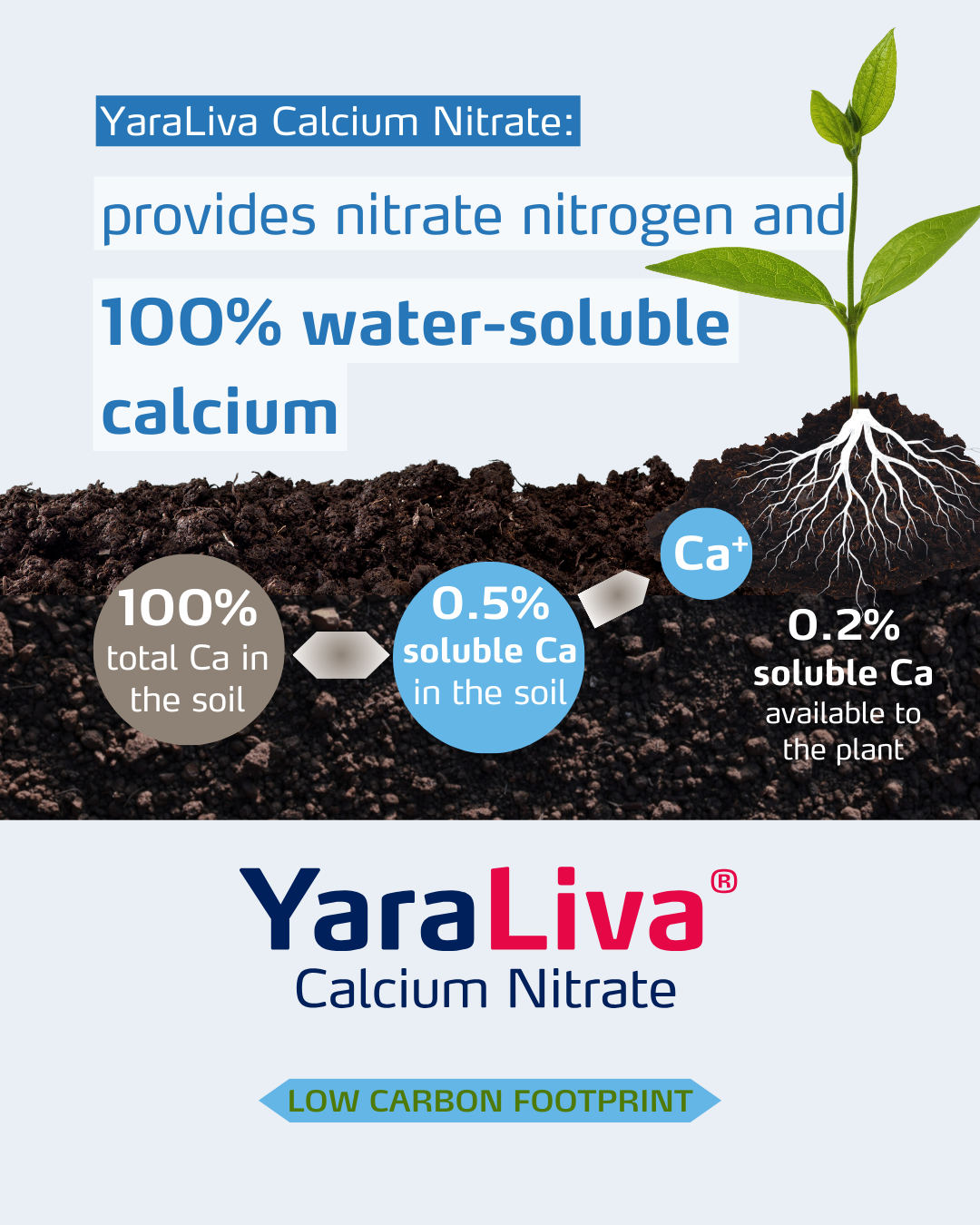 yaraliva social media