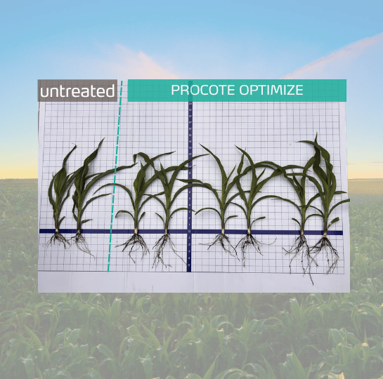procote optimize corn trials