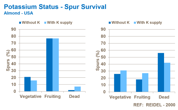 potassium and almond spur survival