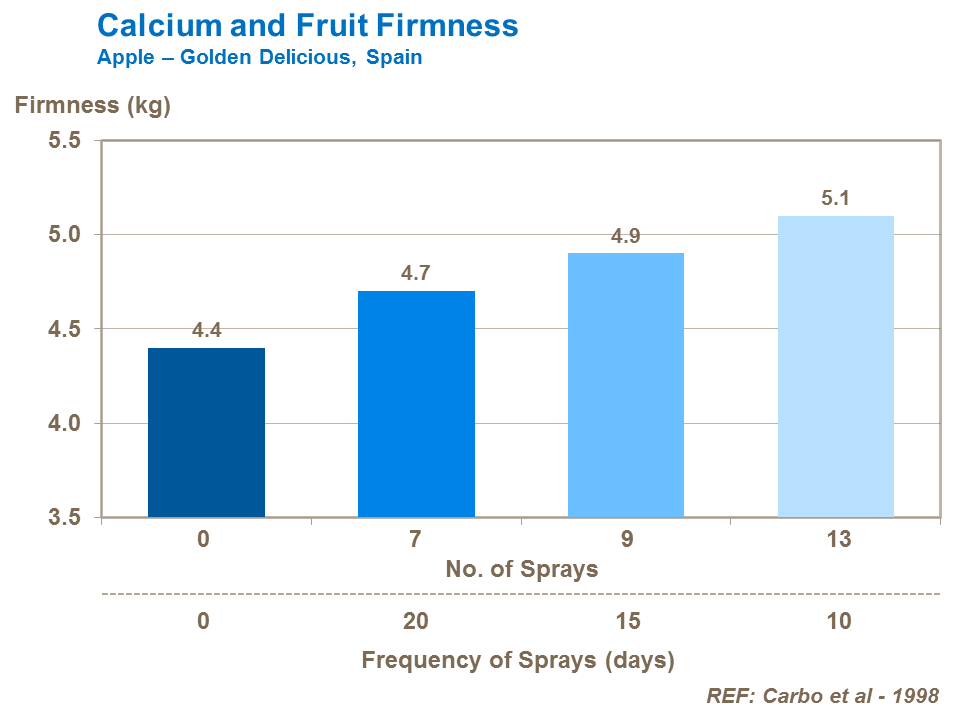 Calcium and Fruit Firmness
