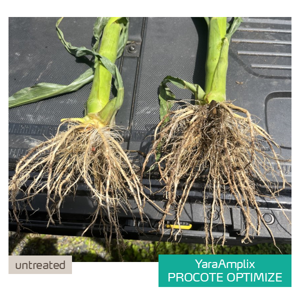 procote optimize trial in corn
