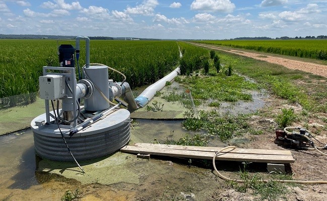 AR Delta Farm Pump 650w.jpg