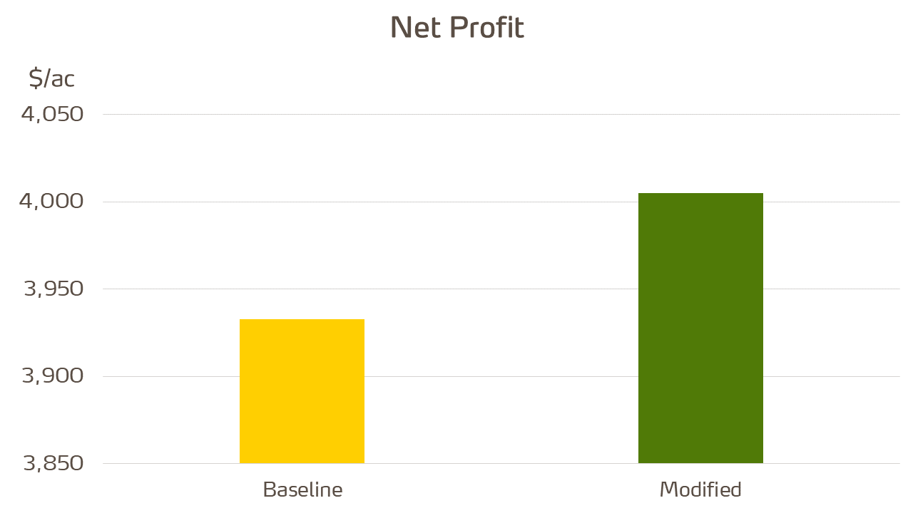 net profit graph.png