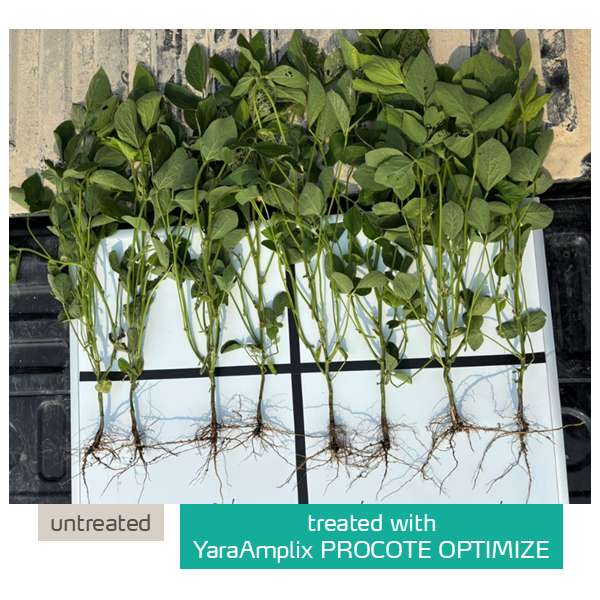 procote optimize trial in soybean