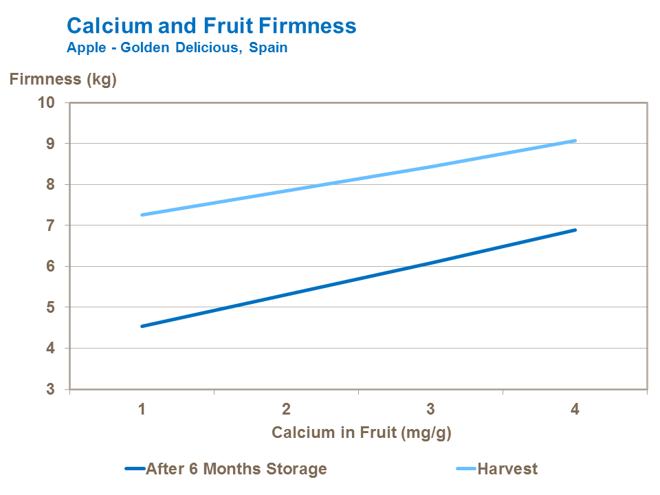 Calcium and apple Firmness
