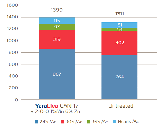 celery cartons per acre by size.png
