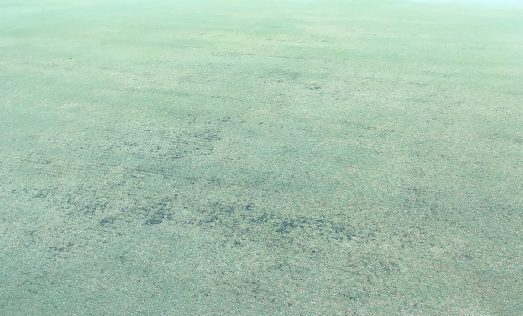 thinning picture.png