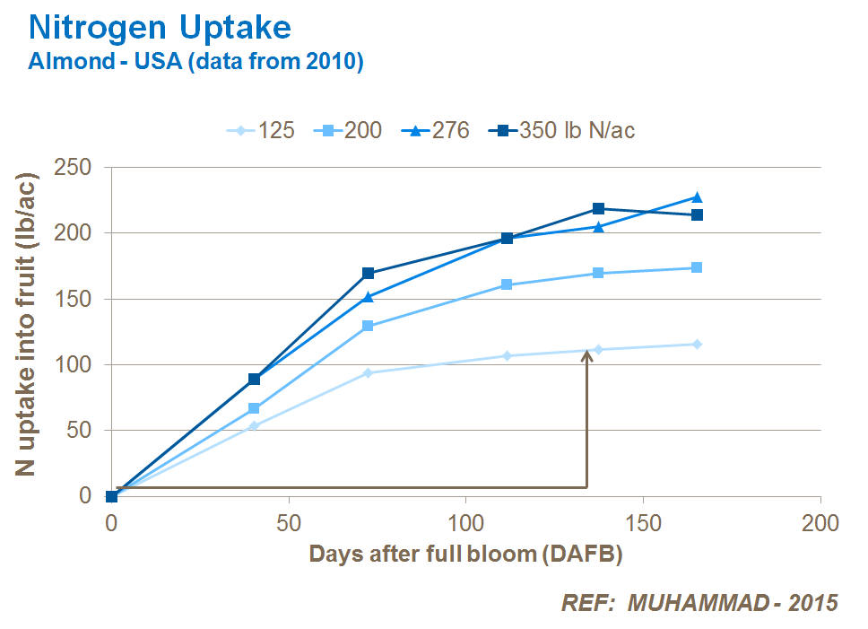nitrogen uptake in almonds