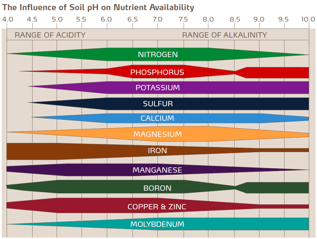 soil ph and nutrient availability in almonds