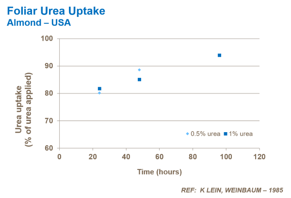 foliar urea uptake in almonds