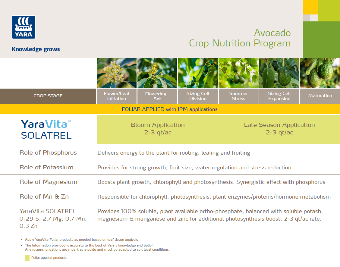avocado-Foliar-Nutrition-Program.png