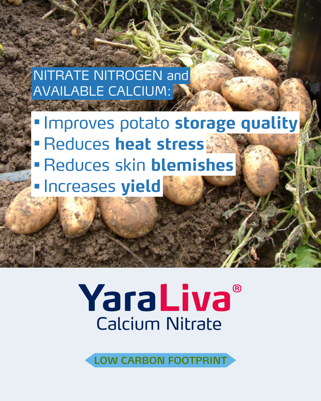 yaraliva social media