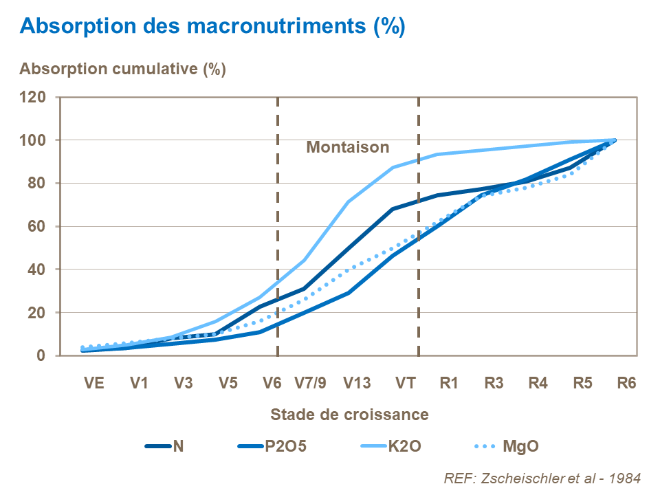 FR - corn macronutrient uptake by growth stage.png