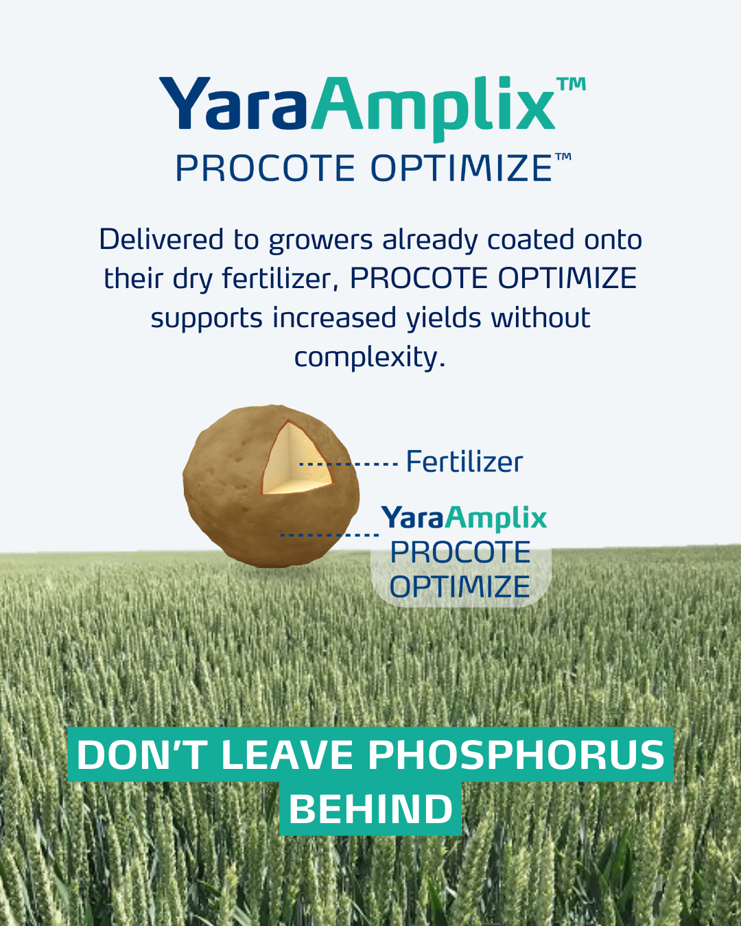 procote optimize social media