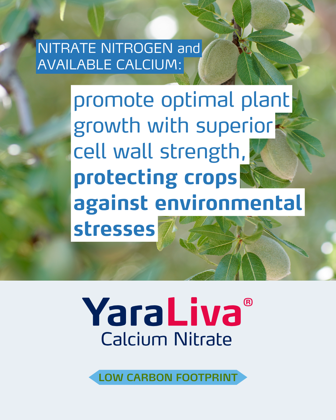 yaraliva social media