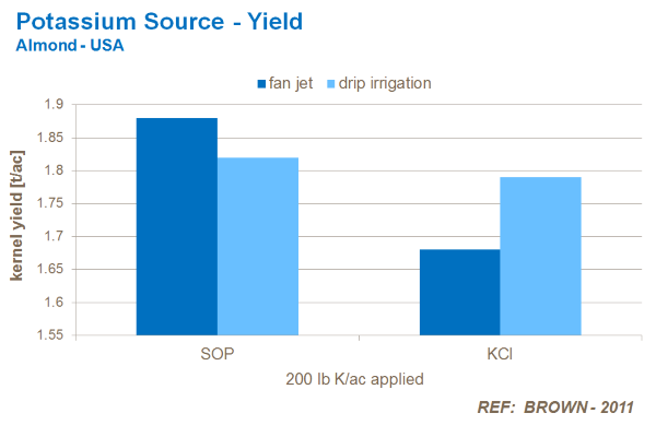 potassium source and almond yield