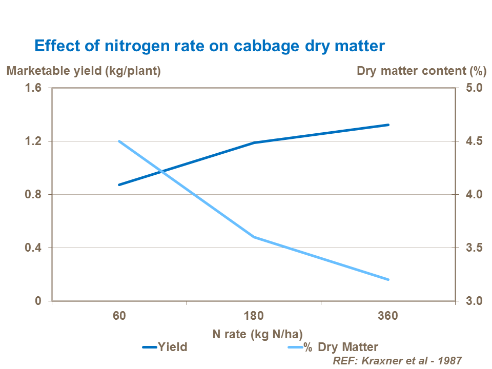 Effect of nitrogen rate on cabbage dry matter